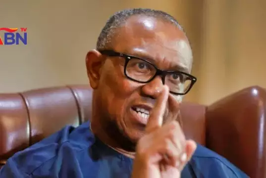 How My Campaign Train Was Attacked In Katsina — Peter Obi "Speak Up, Nigeria Is Falling Apart," Peter Obi Tells Citizens