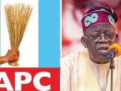 APC Best Option For More Prosperous, Secured Nigeria — Tinubu