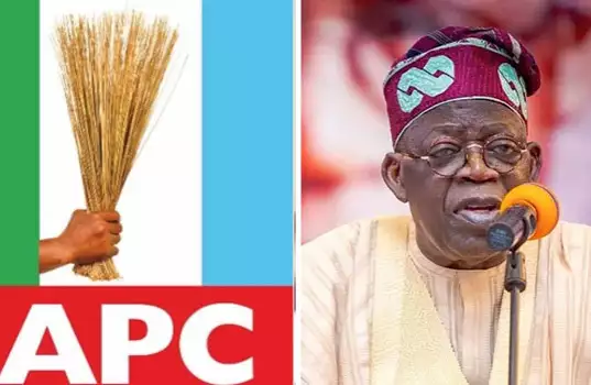 APC Best Option For More Prosperous, Secured Nigeria — Tinubu