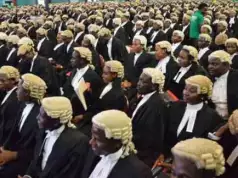Lawyers Seeking SAN Rank To Pay N1m