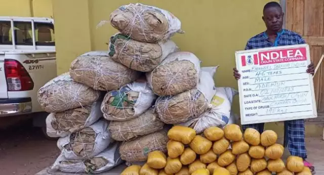 Large Parcels Of Europe-Bound Drugs Intercepted At Lagos Airport