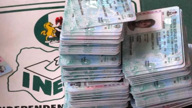 Hunters Discover Thousands Of PVCs In Nnewi Forest (Photos) Ondo Guber: 261,703 PVCs Remain Uncollected — INEC