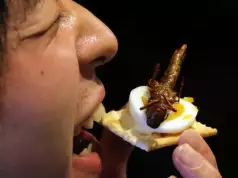 Qatar Bans Insect Food After EU Expands Menu Qatar Bans Insect Food After EU Expands Menu