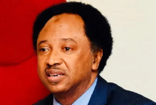 2023: Vote Buyers Now Collecting Account Numbers – Shehu Sani El-Rufai Probe: Shehu Sani Vows Total Support For Kaduna Assembly