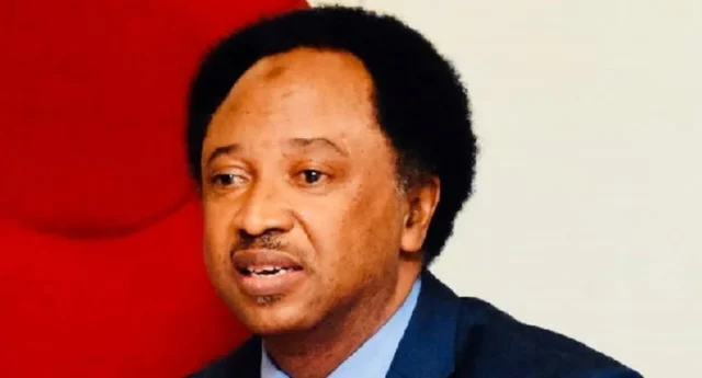 Avoid Nepotistic Appointments Buhari, Shehu Sani Tells Tinubu El-Rufai Probe: Shehu Sani Vows Total Support For Kaduna Assembly