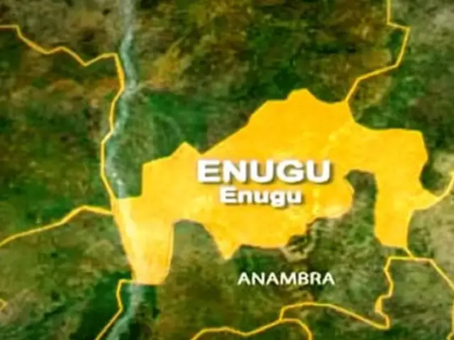 17 Enugu LG Chairmen Get 7 Days Notice To Account For N55b Enugu Govt, Labour Party Disagree Over N100bn Agro Project
