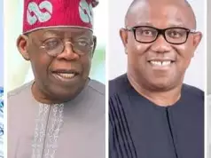 Peter Obi Hires 20 SANs To Challenge Presidential Election Result Peter Obi Hires 20 SANs To Challenge Presidential Election Result
