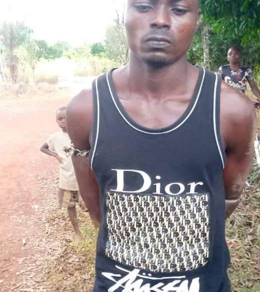 Court Orders Man To Pay 100,000 Naira Fine For Stealing Cow To Bury Father-In-Law