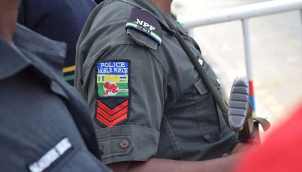 Insecurity: Police Set Up Special Protection Squad For Schools