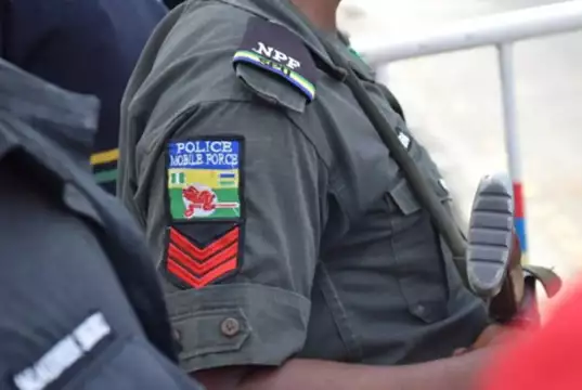 Suspects Arrested In Niger Over Alleged Murder Of Policeman Insecurity: Police Set Up Special Protection Squad For Schools