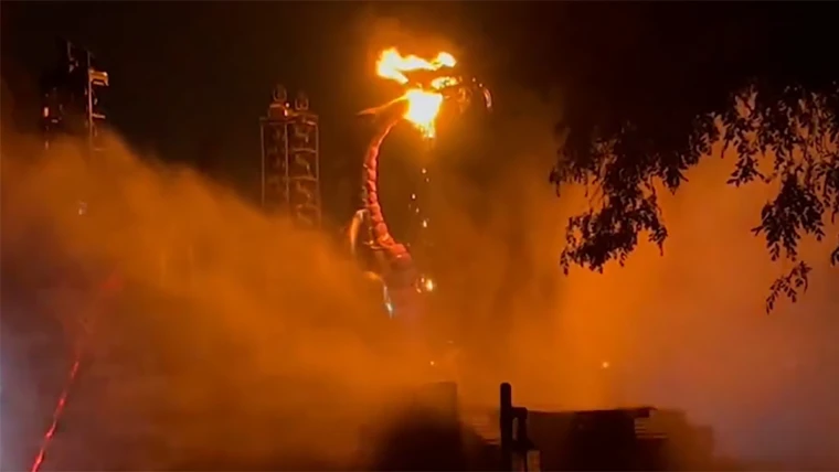 Dragon Catches Fire During Disneyland Show