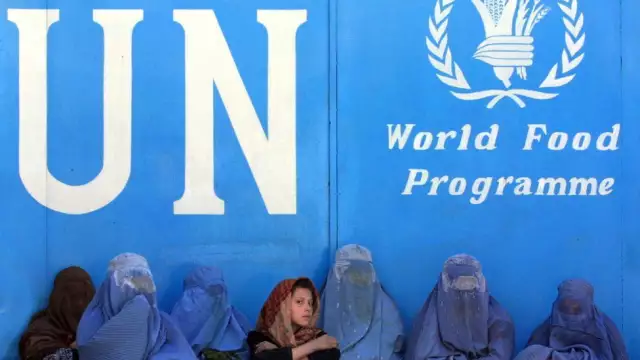 Taliban Bans Afghan Female Staff, UN Reports Taliban Bans Afghan Female Staff, UN Reports
