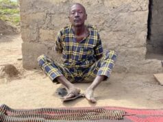 Troops Intercept Vehicle Conveying Ammunitions To Bandits In Kaduna, Arrest Driver
