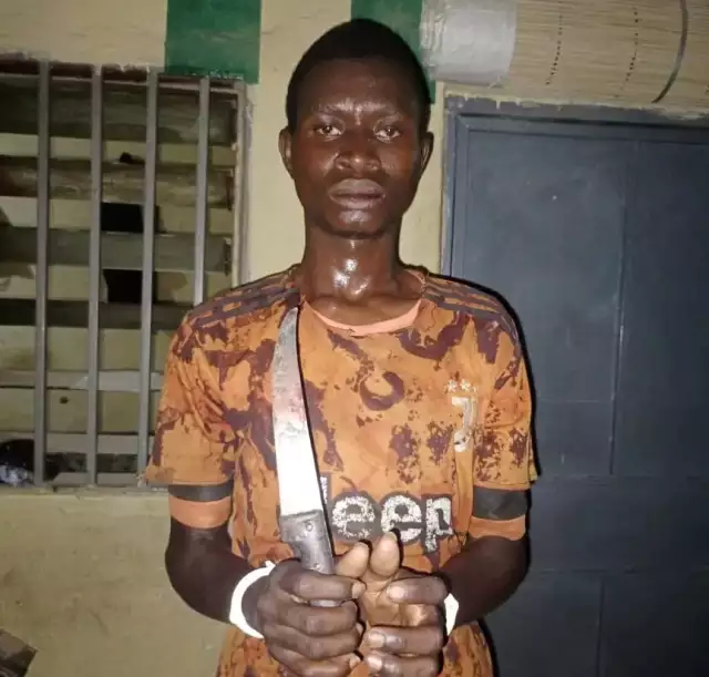 Son Who Stabbed Mother To Death In Kano Arrested