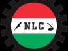NLC Slams Zamfara Govt Over N8,000 Teacher's Salary