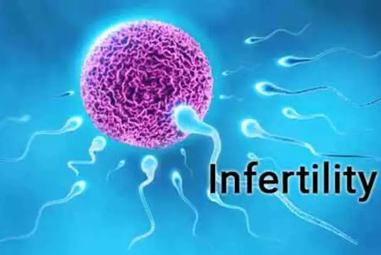 Infertility: Men Responsible For 60 Per Cent Causes – Expert Reveals Infertility: Men Responsible For 60 Per Cent Causes – Expert Reveals