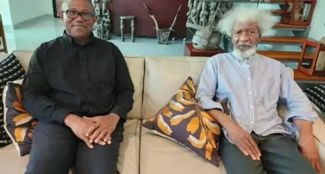 Obi Holds Talks With Soyinka