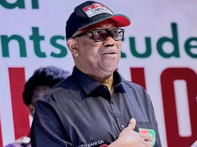 Peter Obi Files 50 Grounds Of Appeal, Wants Tinubu’s Election Voided The Presidential Election Petition Court, PEPC, in Abuja, has disclosed that its first judgement will be on the petition the Labour Party, LP, and its candidate, Peter Obi, filed to challenge President Bola Tinubu’s election.