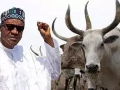 My Farm Animals Reduced – Buhari