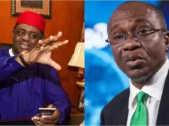 The Beast Called Emefiele Must Face Full Wrath Of Law – Fani-Kayode
