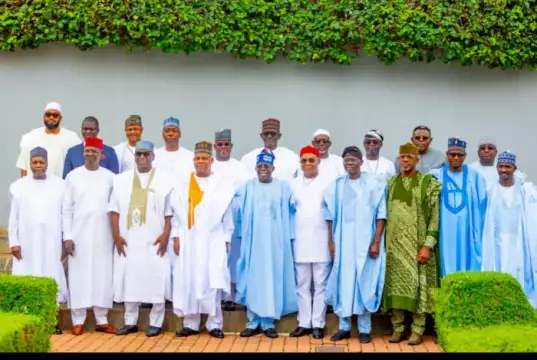 Subsidy Removal: Oil Marketers Inflicting Pains On Nigerians — APC Governors