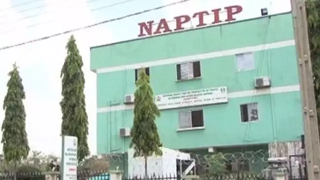 NAPTIP Sacks Five Officials For Receiving Bribes, Leaking Official Information, Others Over 2,000 Nigerian Girls Stranded In Mali – NAPTIP