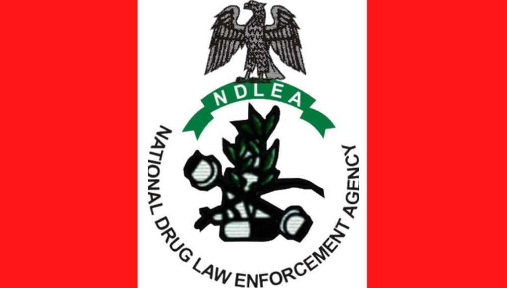 NDLEA Denies Lopsided Promotion Of Personnel
