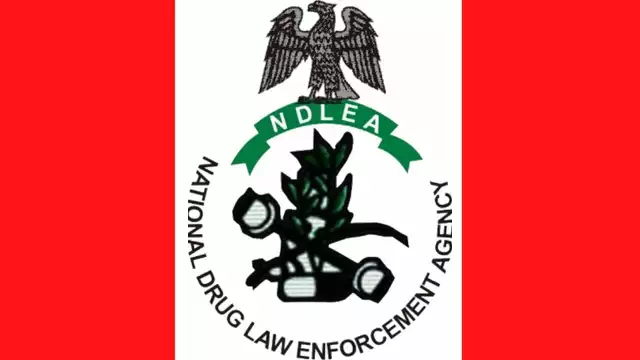 NDLEA Denies Lopsided Promotion Of Personnel NDLEA Seized Over 207,976kg Drugs In 13-Months