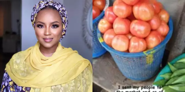 Billionaire Daughter, Hauwa Indimi, Laments High Cost Of Tomato Billionaire Daughter, Hauwa Indimi, Laments High Cost Of Tomato