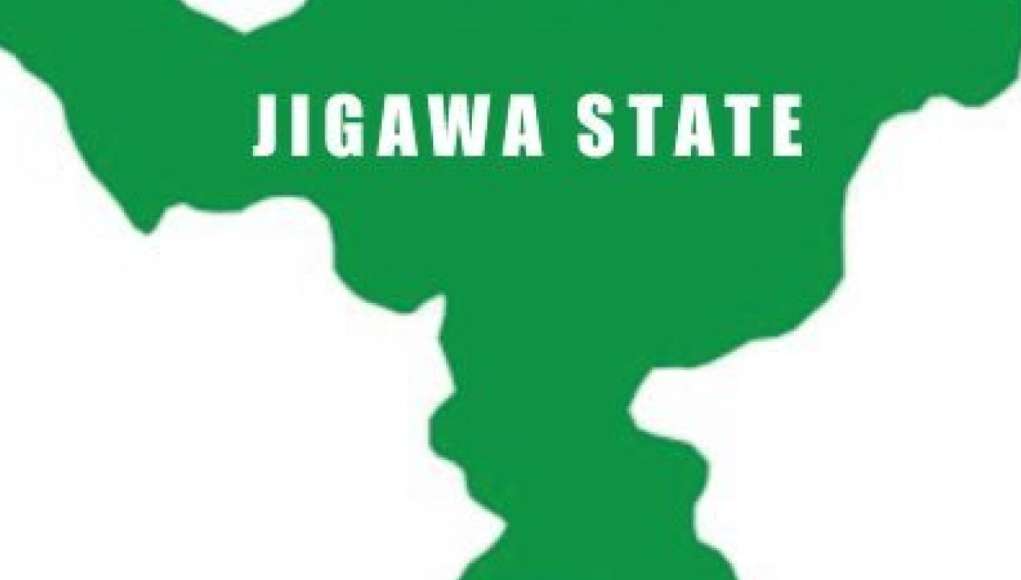 Police Recover Three Stolen Cows In Jigawa