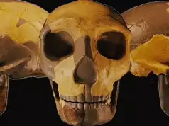 Scientists Discover New Specie Of Human Being
