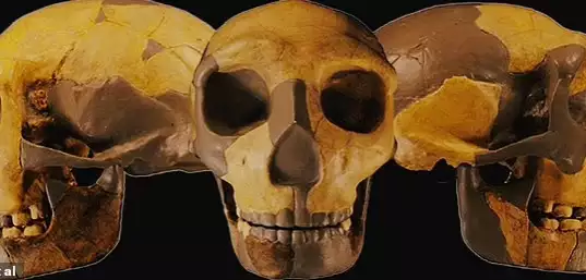 Scientists Discover New Specie Of Human Being