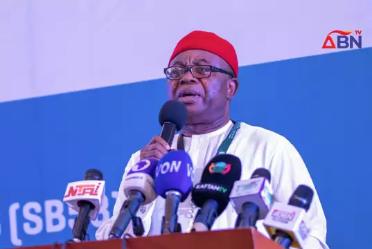 Marginalisation Of South East Started With Number Of States In Region, Happened Before Tinubu’s Govt — Onuigbo Marginalisation Of South East Started With Number Of States In Region, Happened Before Tinubu’s Govt — Onuigbo