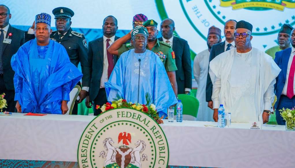 Serve Nigeria, Not Your States - Tinubu Tells Ministers