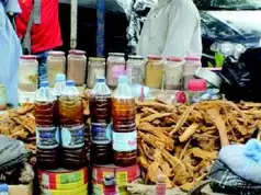 Anambra Govt Places Ban On Advertisement Of Herbal Medicines
