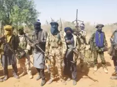 Bandits Demand Rice, Cough Syrup, N290m For Release Of 7 Hostages Tension As Herdsmen Kill 15, Whisk Away Children In Agatu, Benue