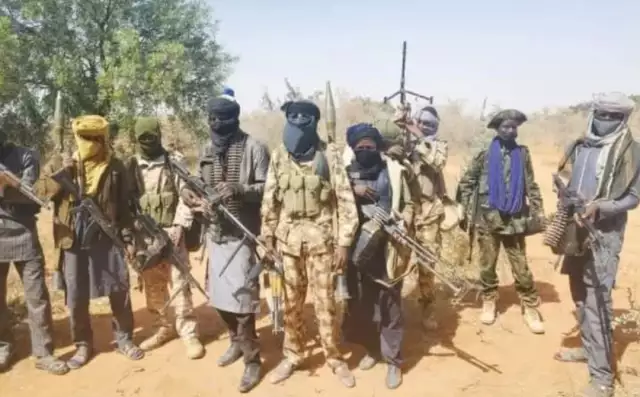 Bandits Demand Rice, Cough Syrup, N290m For Release Of 7 Hostages Tension As Herdsmen Kill 15, Whisk Away Children In Agatu, Benue