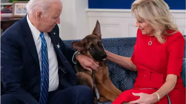 Biden Dog Commander Bites Another Secret Service Agent Biden Dog Commander Bites Another Secret Service Agent