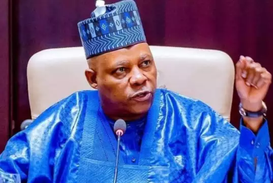 Nigeria Secures $163m Loan From AfDB To Scale Up Wheat Production — Shettima