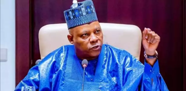 Nigeria Secures $163m Loan From AfDB To Scale Up Wheat Production — Shettima