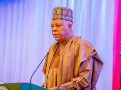 Shettima Apologises Over Airstrike That Killed Ten In Sokoto Shettima Urges African Leaders To Ramp up 3% of continent’s global GDP