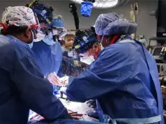 Experts From University Of Maryland US Perform Second Pig-To-Human Heart Transplant