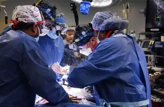 Experts From University Of Maryland US Perform Second Pig-To-Human Heart Transplant