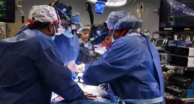 Experts From University Of Maryland US Perform Second Pig-To-Human Heart Transplant