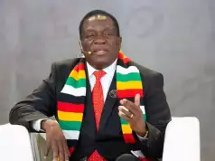 Zimbabwe: President Mnangagwa Appoints Son, Nephew As Ministers
