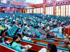 Reps Stops Ceding Of Adamawa Territory To Cameroon