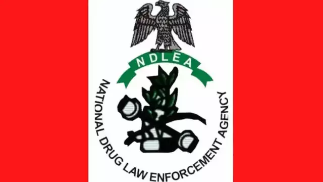 NDLEA Intercepts Drugs Worth N3.4bn In Lagos, Uncover 942 Explosives NDLEA Intercepts Drugs Worth N3.4bn In Lagos, Uncover 942 Explosives