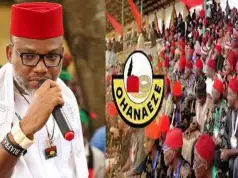 Uphold 40 Days Ceasefire For Release Of Nnamdi Kanu, Ohanaeze Urges Biafra Agitators Uphold 40 Days Ceasefire For Release Of Nnamdi Kanu, Ohanaeze Urges Biafra Agitators