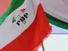 Edo 2024: PDP Assures Transparent Primaries Osun PDP Commends Voters, Slams Violence In LG Polls