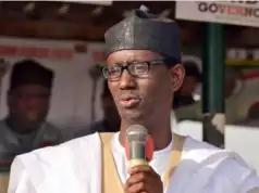 Many Arms Used By Bandits Originally Belonged To FG — NSA RibaduÂ